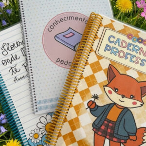 caderno da professora atividades pedagógicas MB