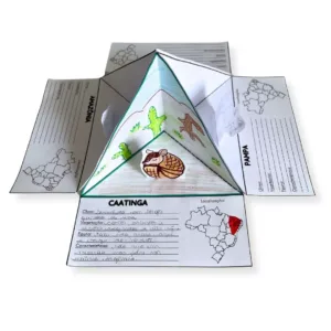 Biomas Brasileiros - Triorama