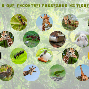 Passeando Na Floresta