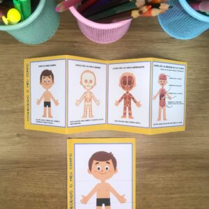 Kit pedagógico do corpo humano com lapbook sanfonado e livrinho interativo mostrando as camadas do corpo para educação infantil e primeiro ano.