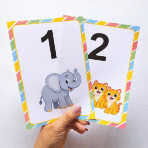 Números com imagens (bordas coloridas)