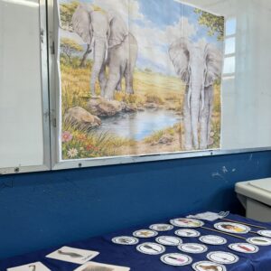 E de Elefante: Explorando a Letra E