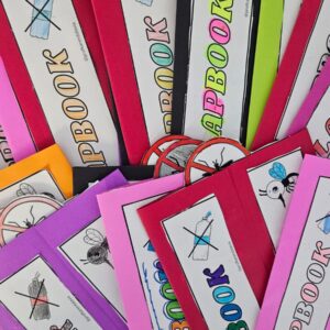 Lapbook da dengue